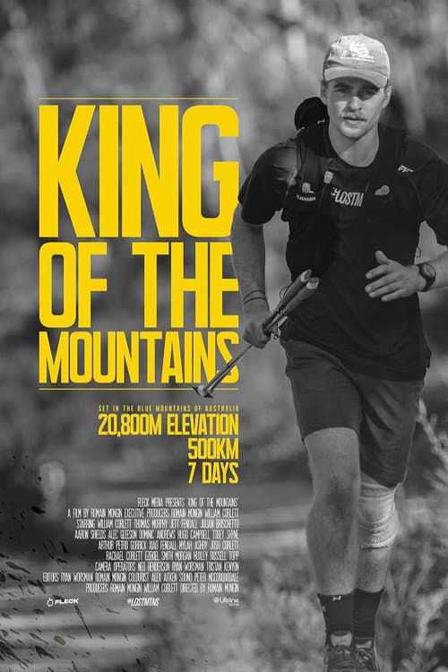 Poster for King of the Mountains