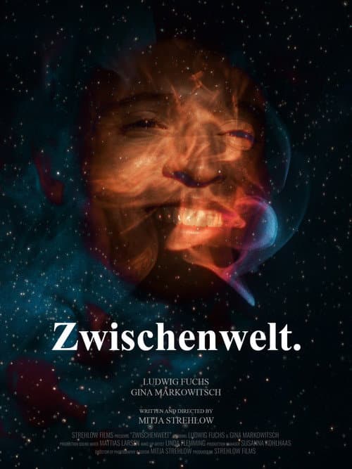 Poster for Zwischenwelt