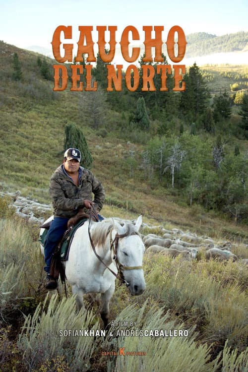 Poster for Gaucho del Norte