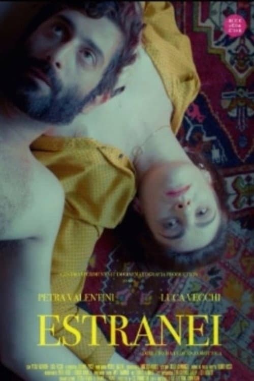 Poster for Estranei