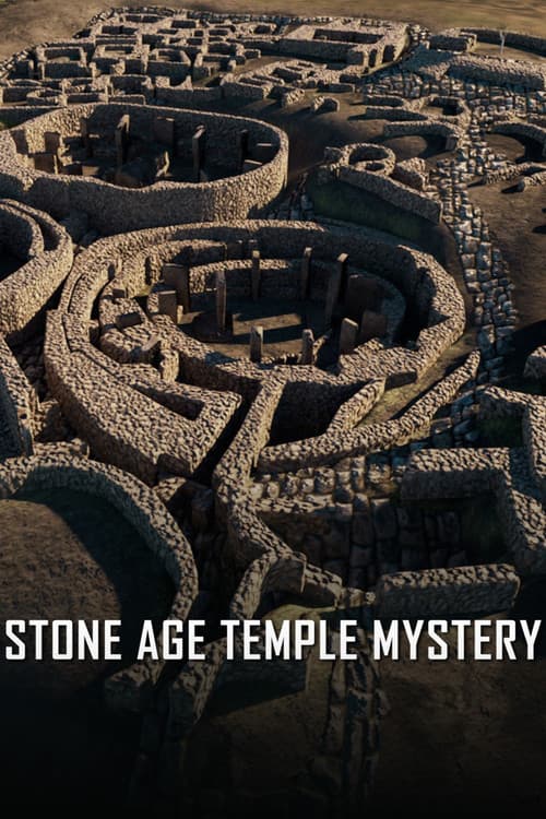 Poster for Stone Age Temple Mystery