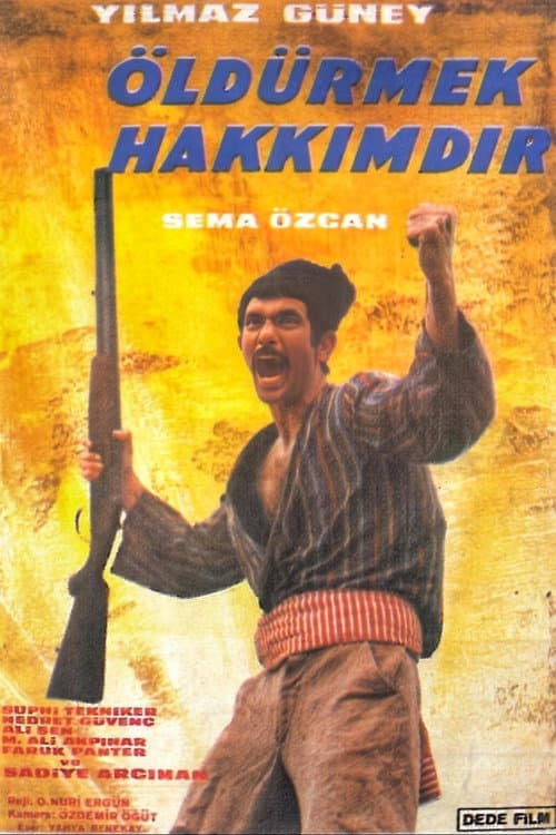 Poster for Öldürmek Hakkımdır