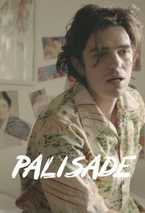 Poster for Palisade