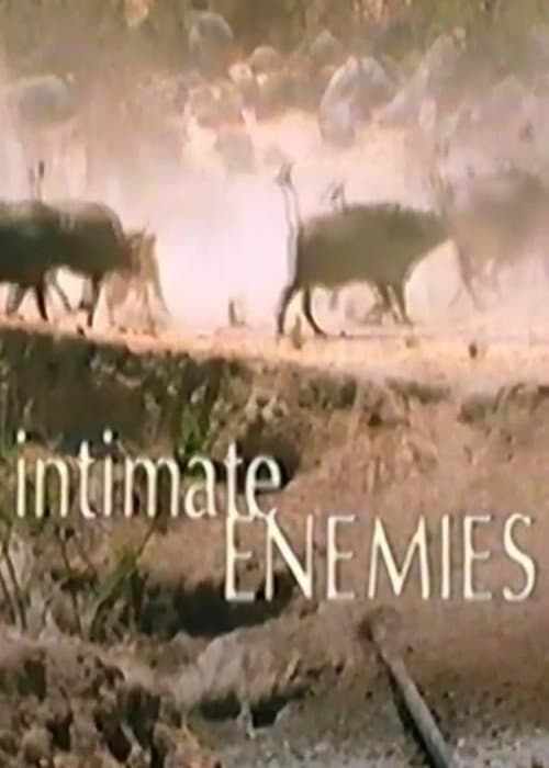 Poster for Intimate Enemies