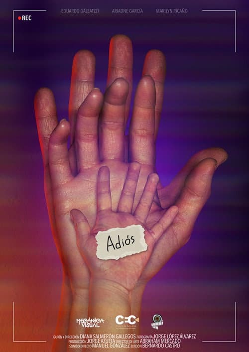Poster for Adiós