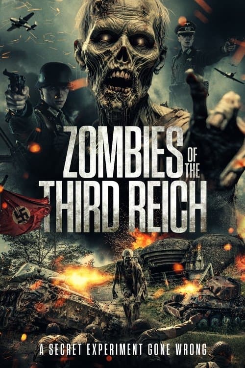 Poster for Zombies of the Third Reich