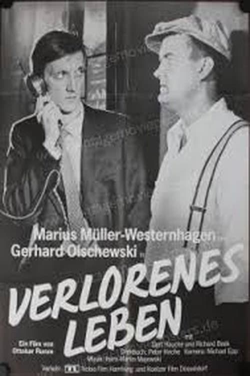 Poster for A Lost Life