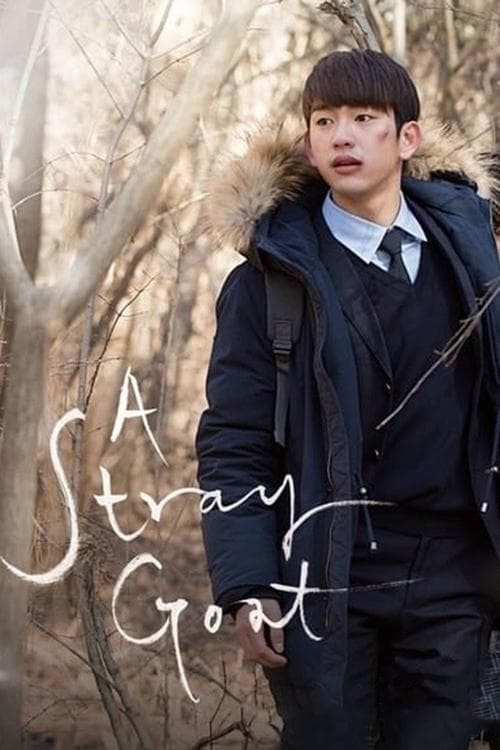 Poster for A Stray Goat