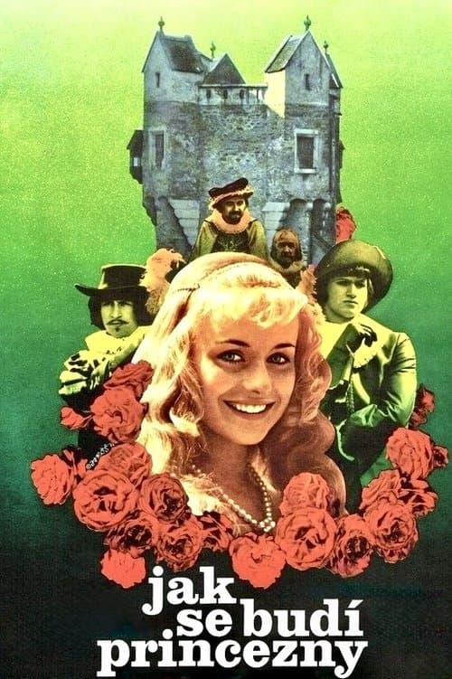 Poster for How to Wake a Princess