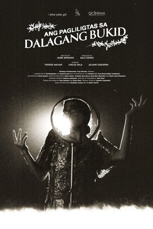 Poster for Saving the Country Maiden