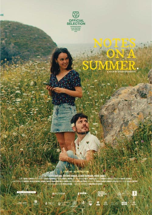 Poster for Notes on a Summer
