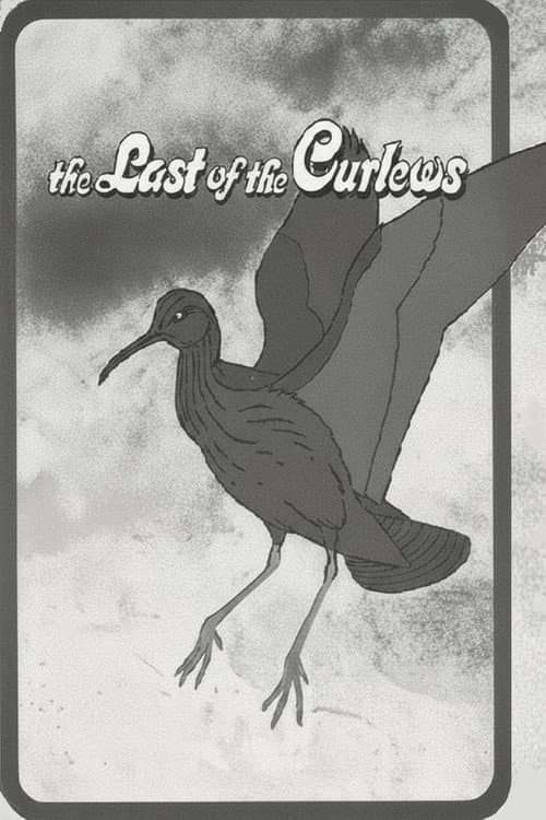 Poster for The Last of the Curlews