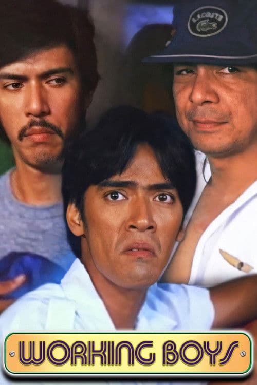 Poster for Working Boys
