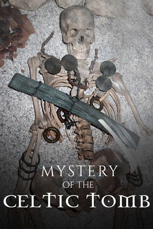 Poster for Mystery of the Celtic Tomb