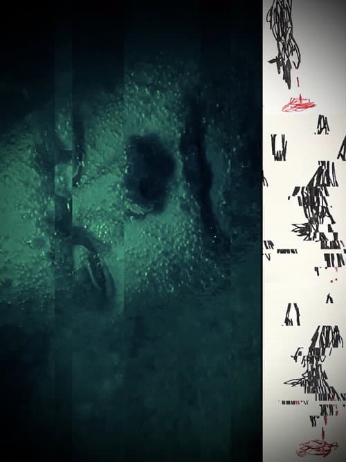 Poster for Three Wolves