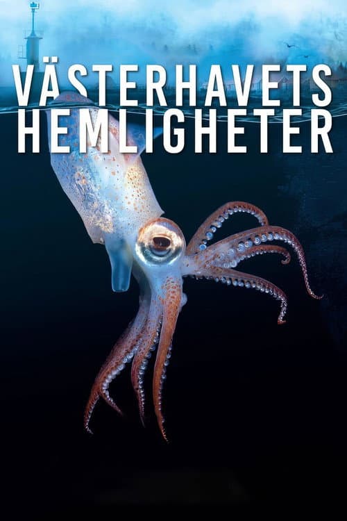 Poster for Västerhavets Hemligheter