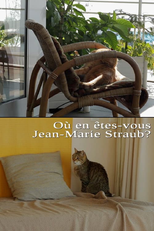 Poster for Où en êtes-vous, Jean-Marie Straub ?