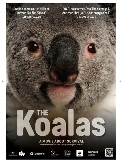 Poster for The Koalas
