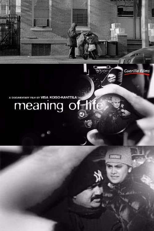 Poster for Meaning of Life