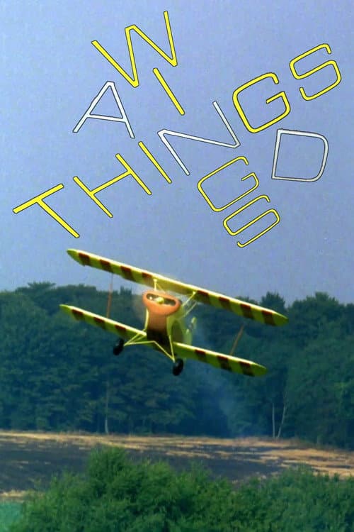 Poster for Wings and Things