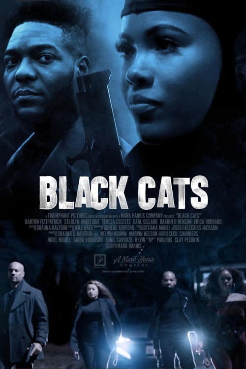 Poster for Black Cats