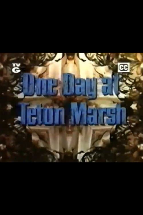 Poster for One Day at Teton Marsh