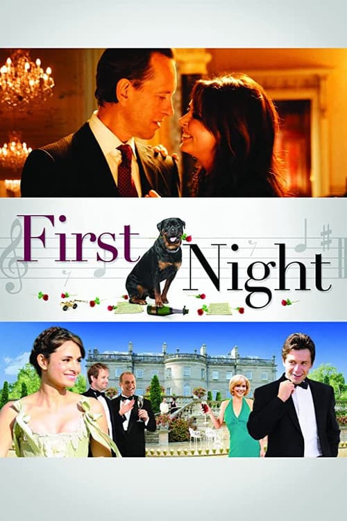 Poster for First Night