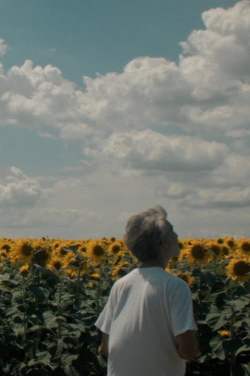 Poster for Without