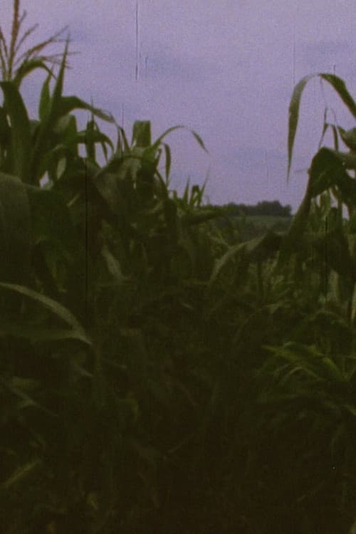 Poster for Pan 3