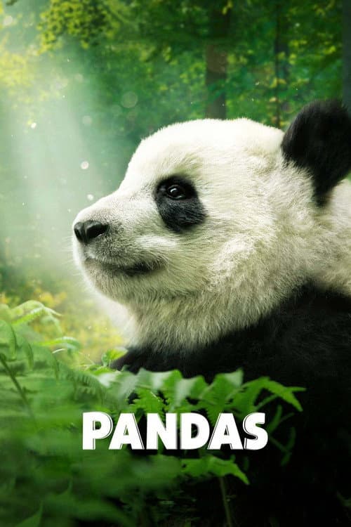 Poster for Pandas