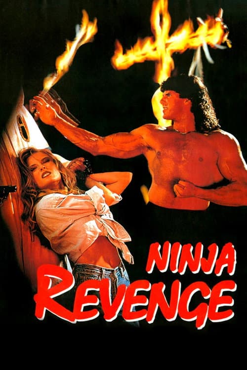 Poster for Ninja Vengeance