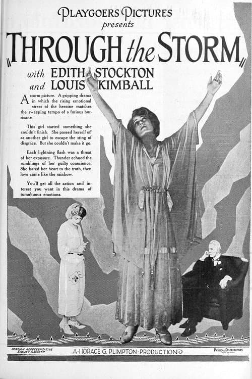 Poster for Through the Storm