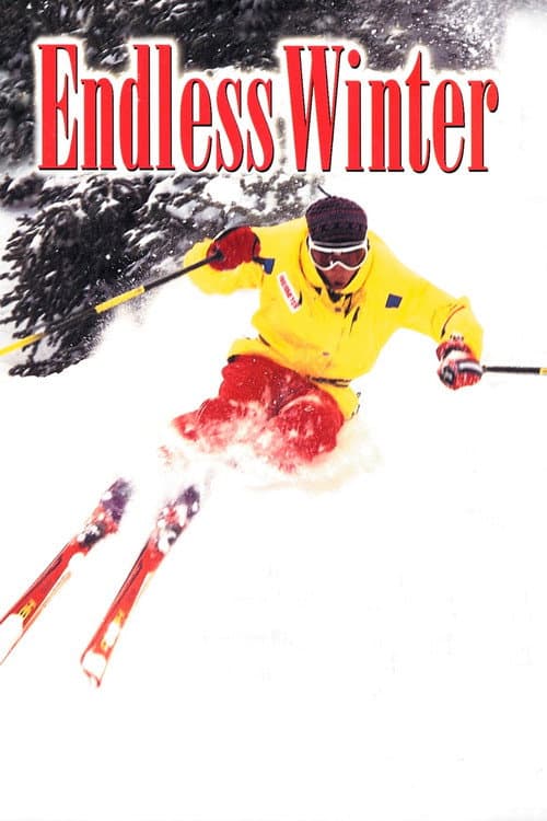 Poster for Endless Winter
