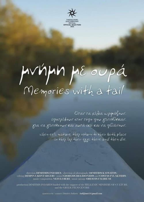 Poster for Memories with a Tail