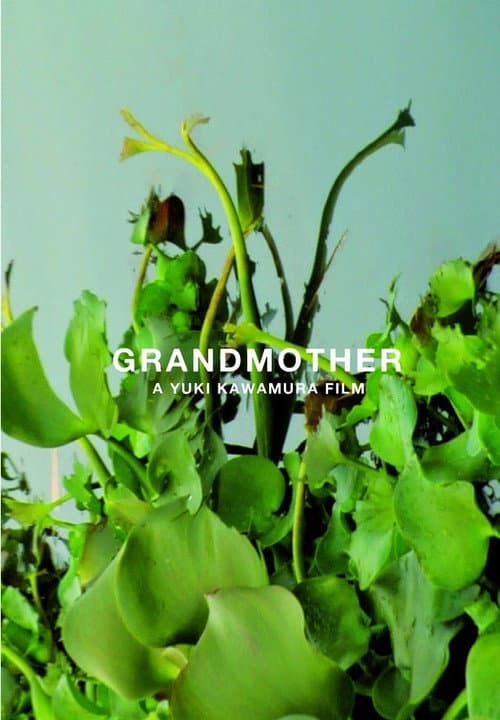 Poster for Grandmother