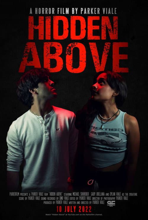 Poster for Hidden Above
