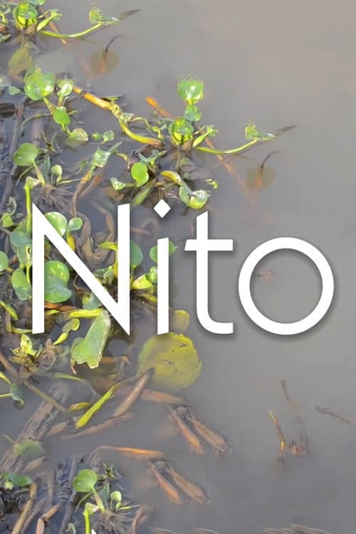 Poster for Nito