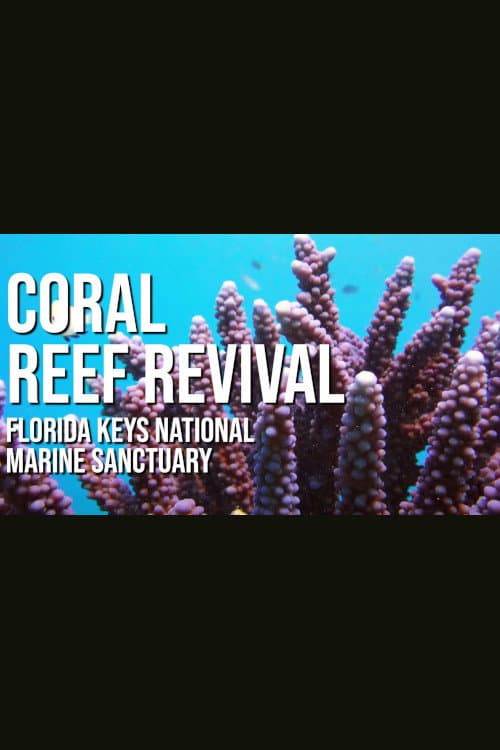 Poster for A Coral Reef Revival