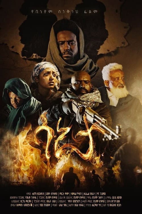 Poster for Sanita 2026