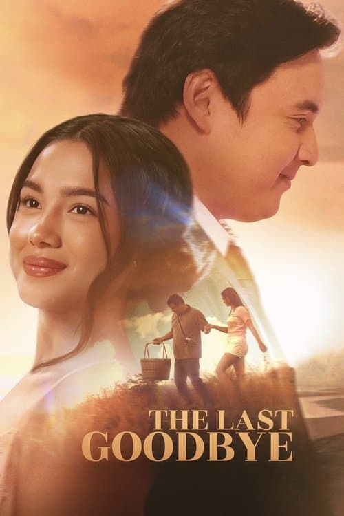Poster for The Last Goodbye