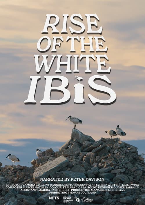 Poster for Rise of the White Ibis