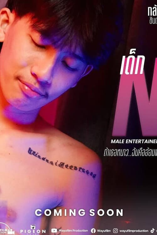 Poster for Male Entertainer