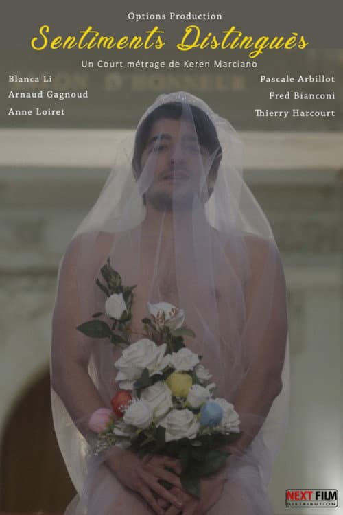 Poster for Distinguished Feelings