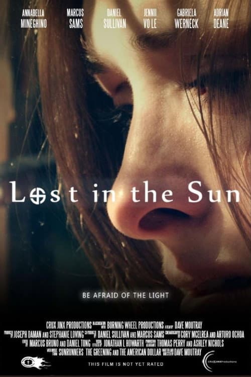 Poster for Lost in the Sun