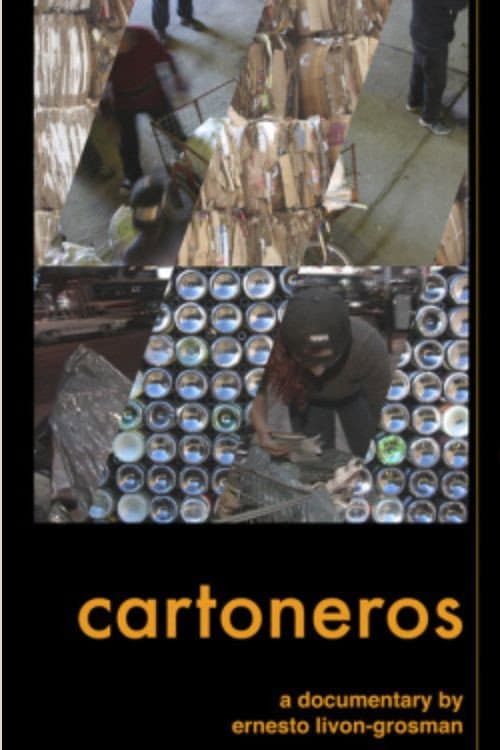 Poster for Cartoneros