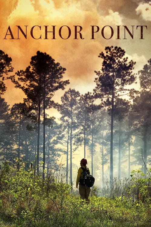 Poster for Anchor Point