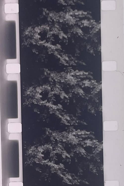 Poster for Plotting the Grey Scale: 2 or 3 Quick Traverses