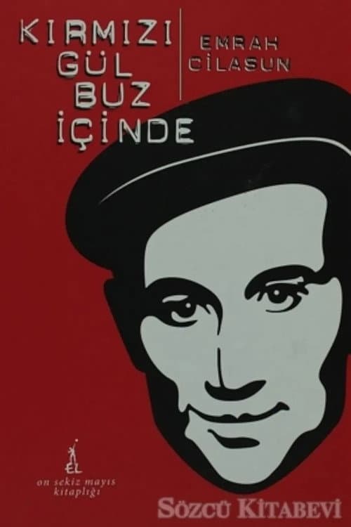 Poster for Kırmızı Gül Buz İçinde