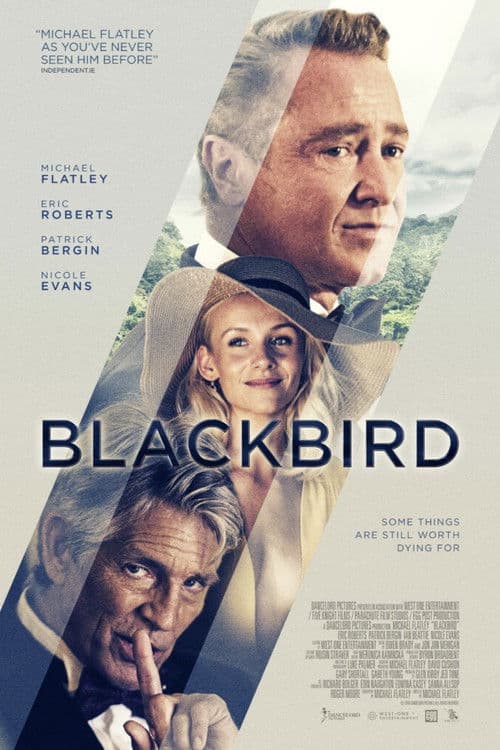 Poster for Blackbird