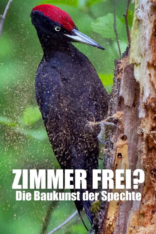 Poster for Knock knock – a Woodpeckers world